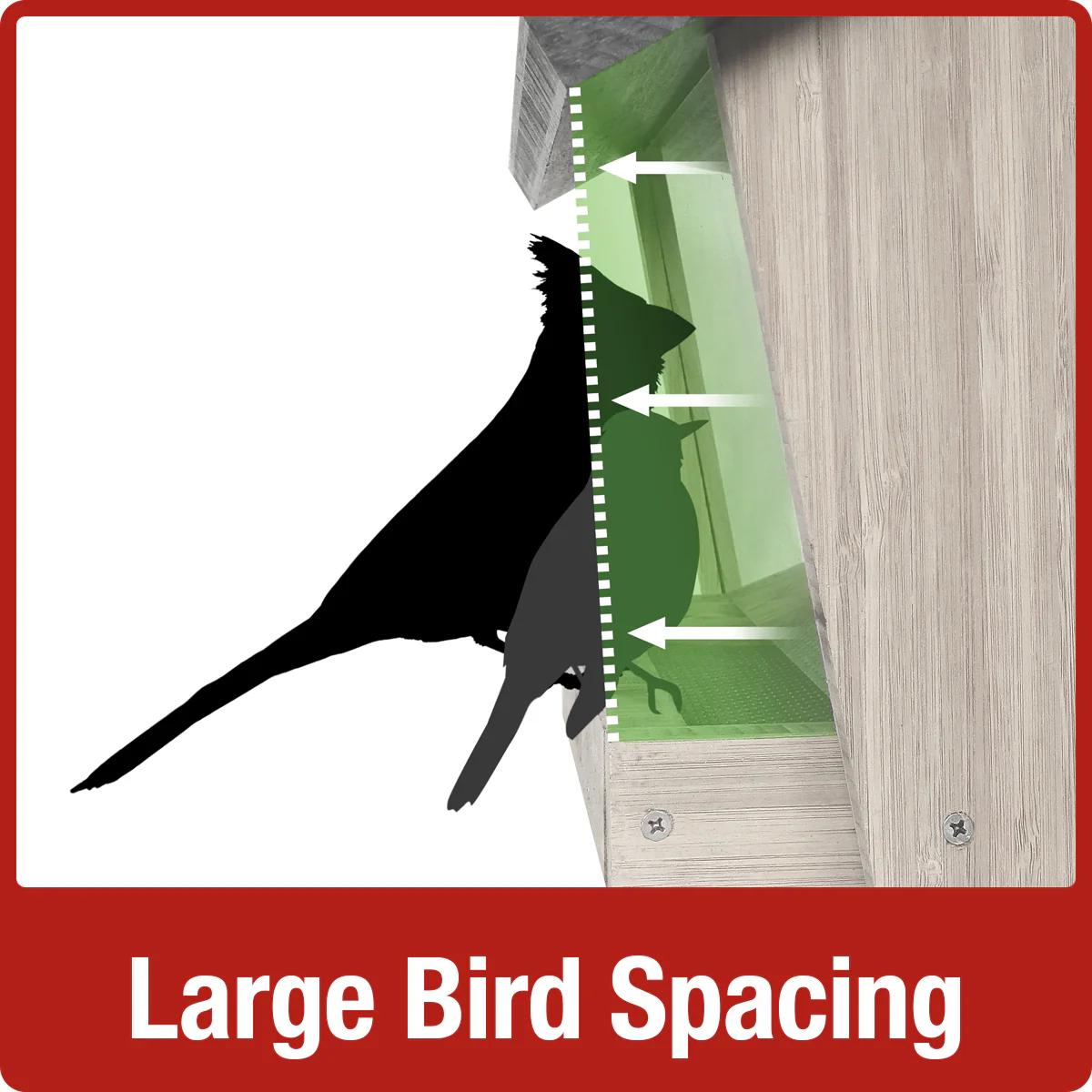 3 QT Hopper Feeder w/ 2 Suet Cages - Image 4