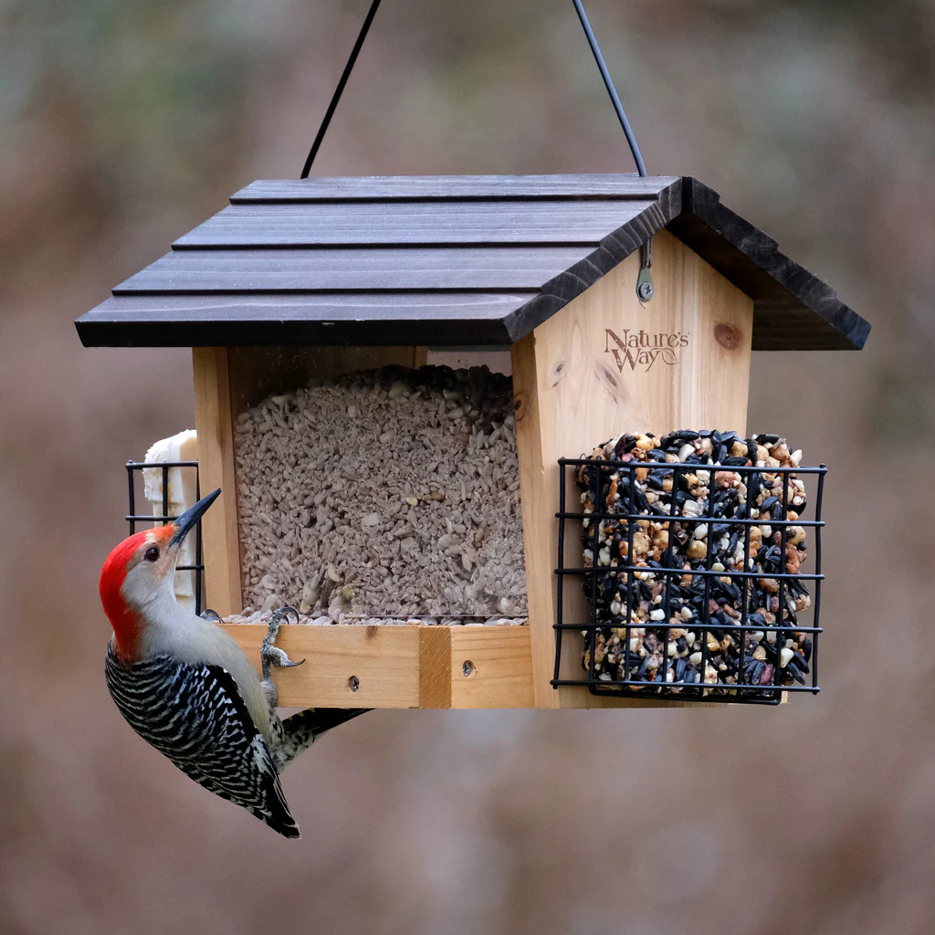 3 QT Hopper Feeder w/ 2 Suet Cages - Image 8