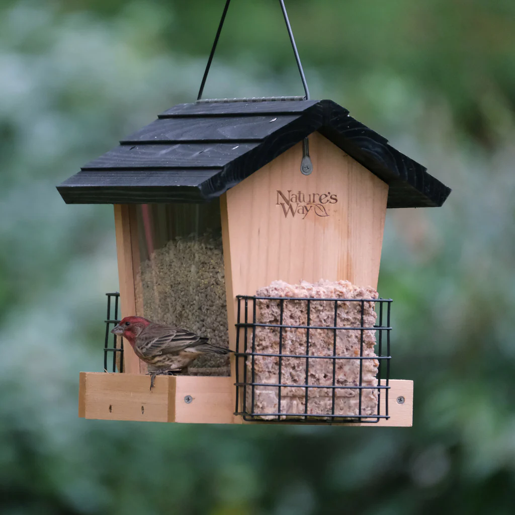 6 QT Hopper Feeder w/2 Suet Cages - Image 10