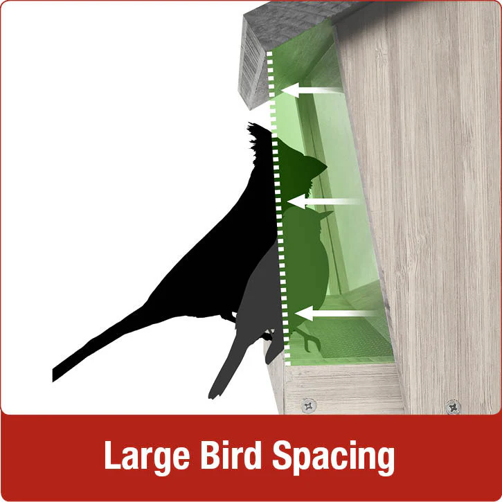 6 QT Hopper Feeder w/2 Suet Cages - Image 4
