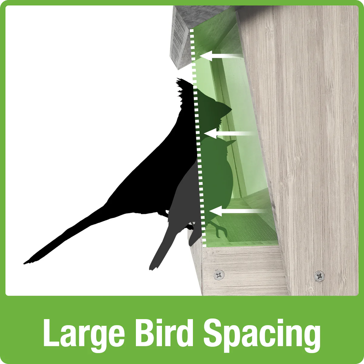 6 QT Hopper Feeder w/ 2 Suet cages - Image 4