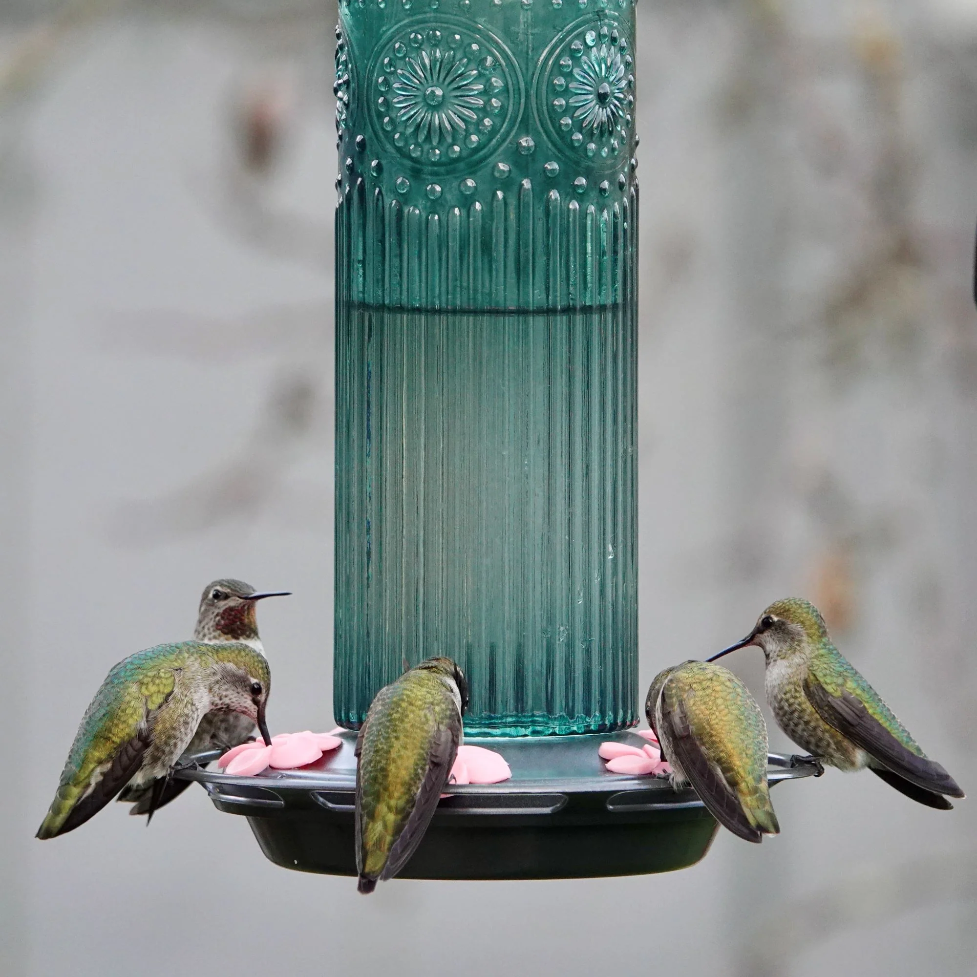 Antique Teal Glass Gravity Hummingbird Feeder - Image 11