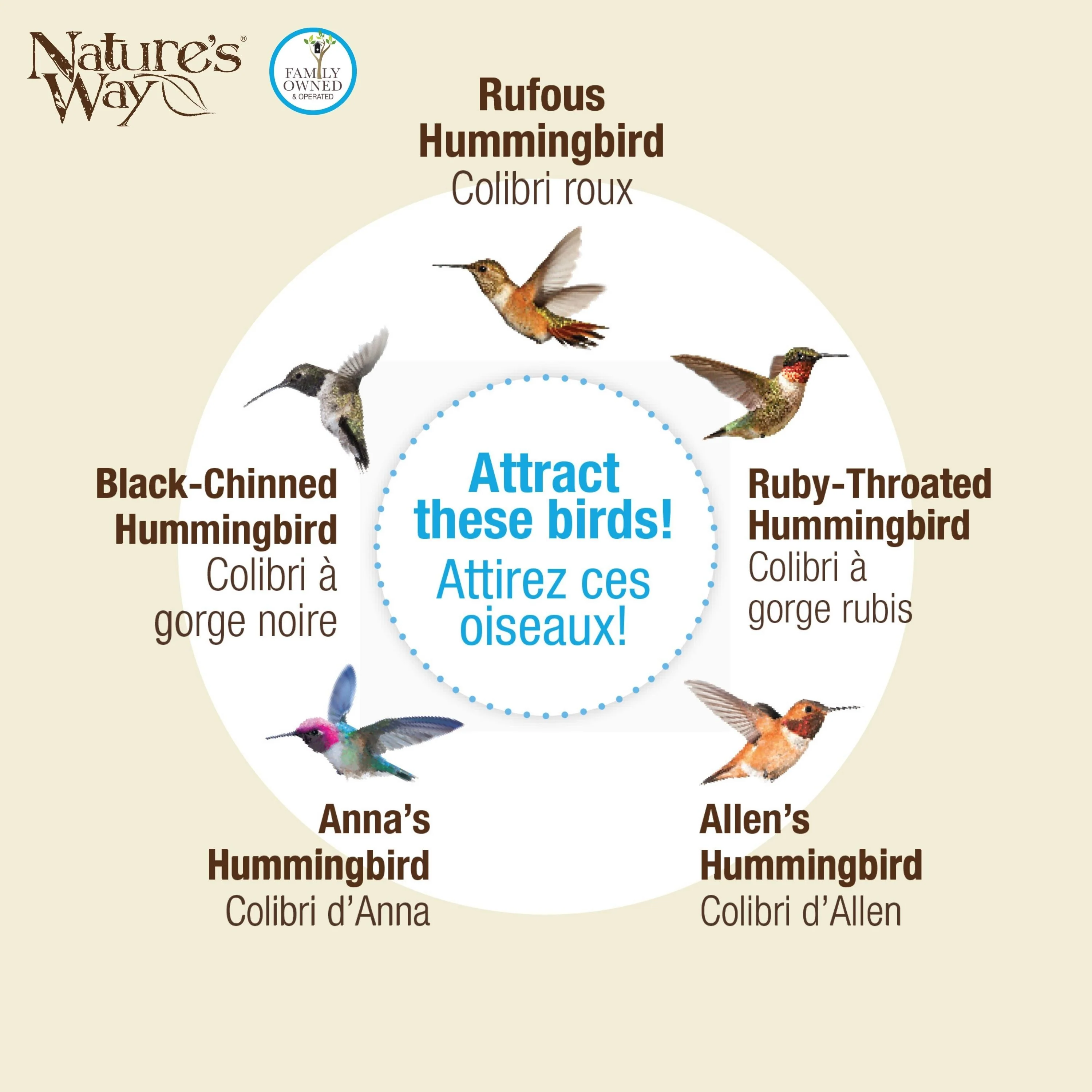 Antique Teal Glass Gravity Hummingbird Feeder - Image 5