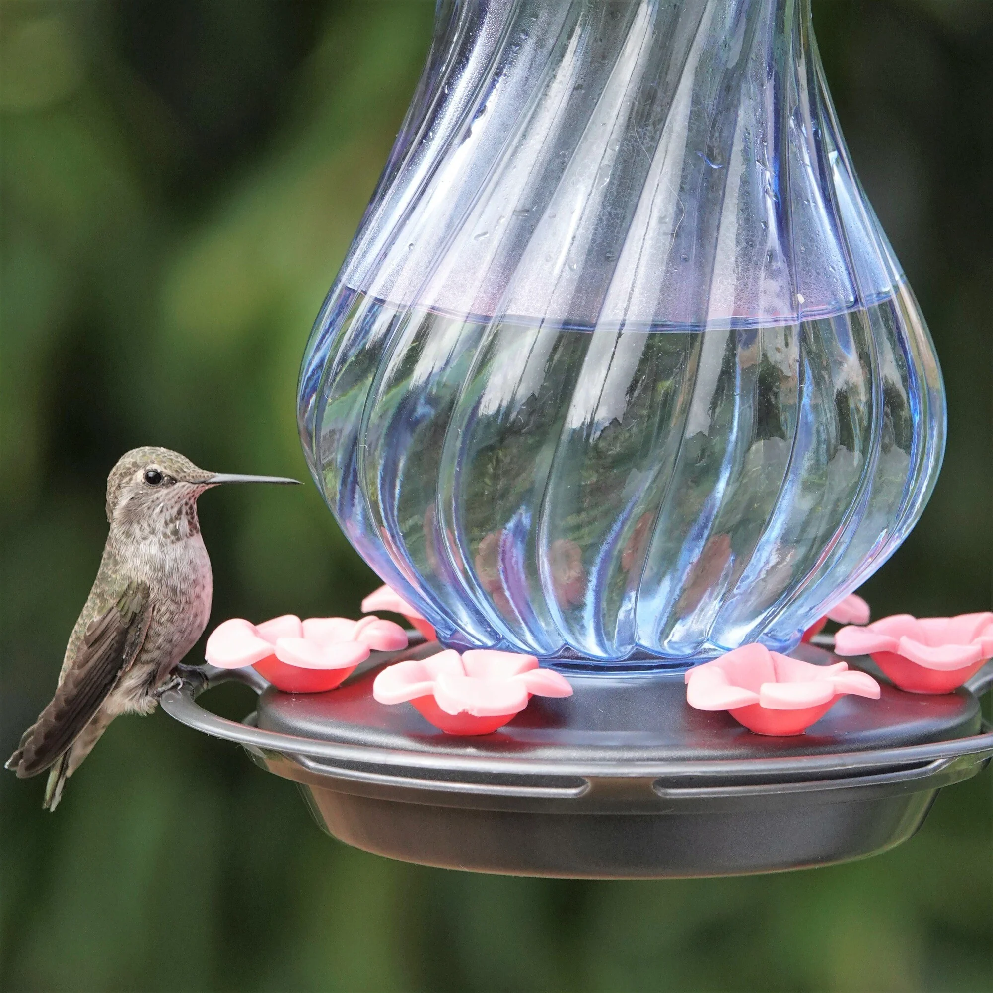 Perfect Pitcher Antique Glass Gravity Hummingbird Feeder - Image 7