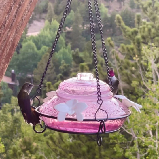 Plum Antique Glass Top-Fill Dish Hummingbird Feeder - Image 10