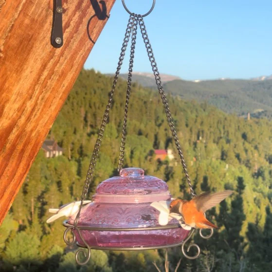 Plum Antique Glass Top-Fill Dish Hummingbird Feeder - Image 9