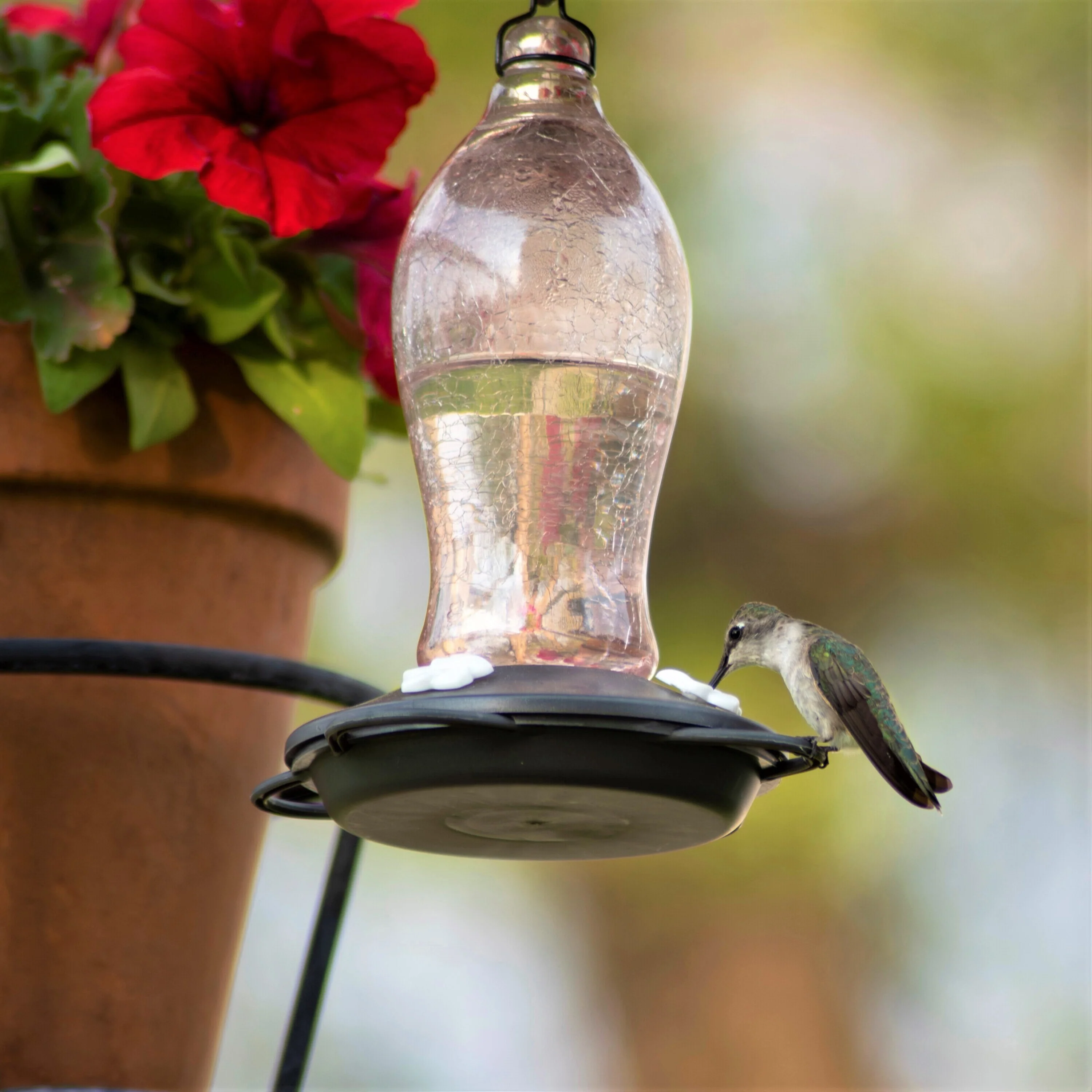 Blush Crackle Artisan Glass Gravity Hummingbird Feeder - Image 7
