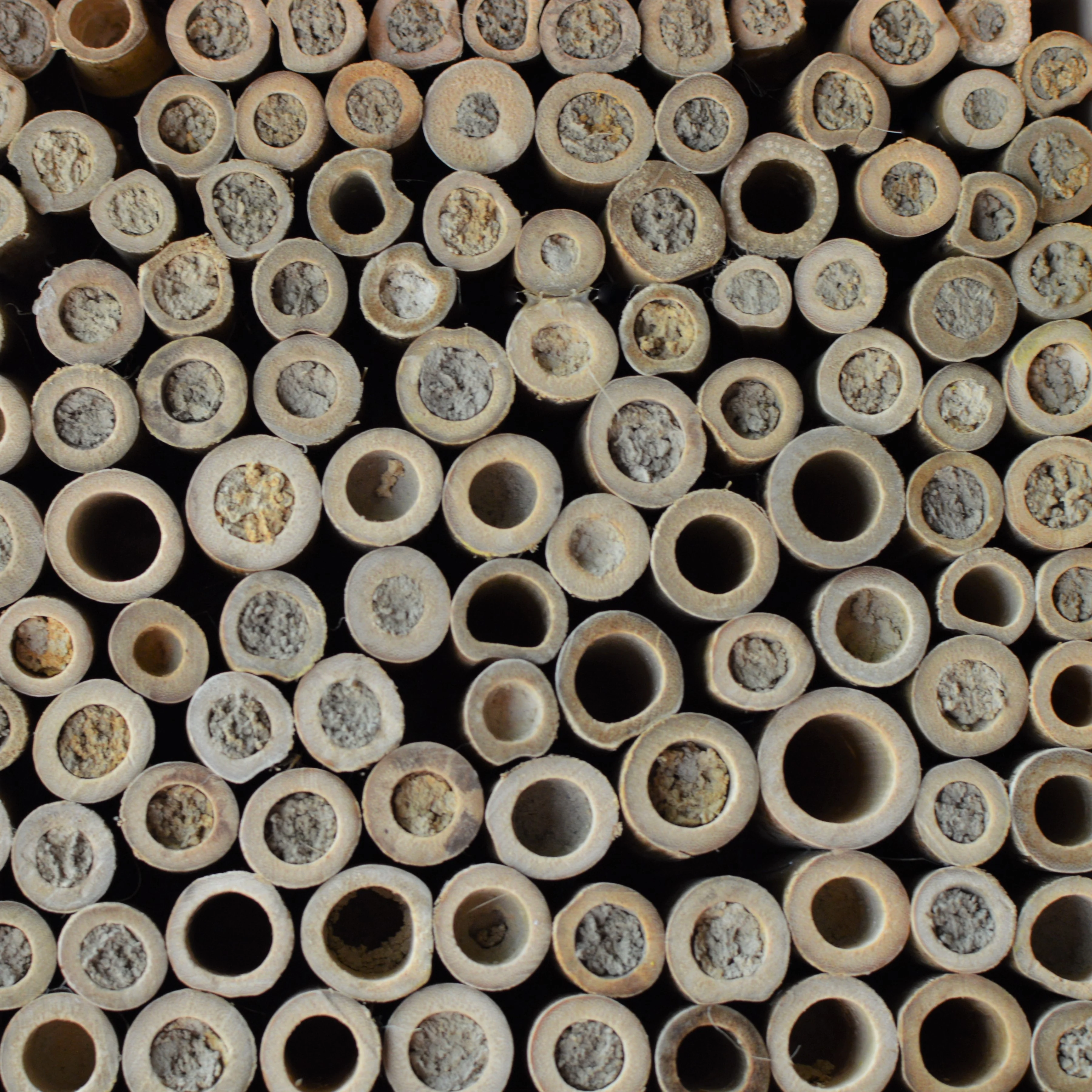 Better Gardens Farmhouse Bee Home - Image 3