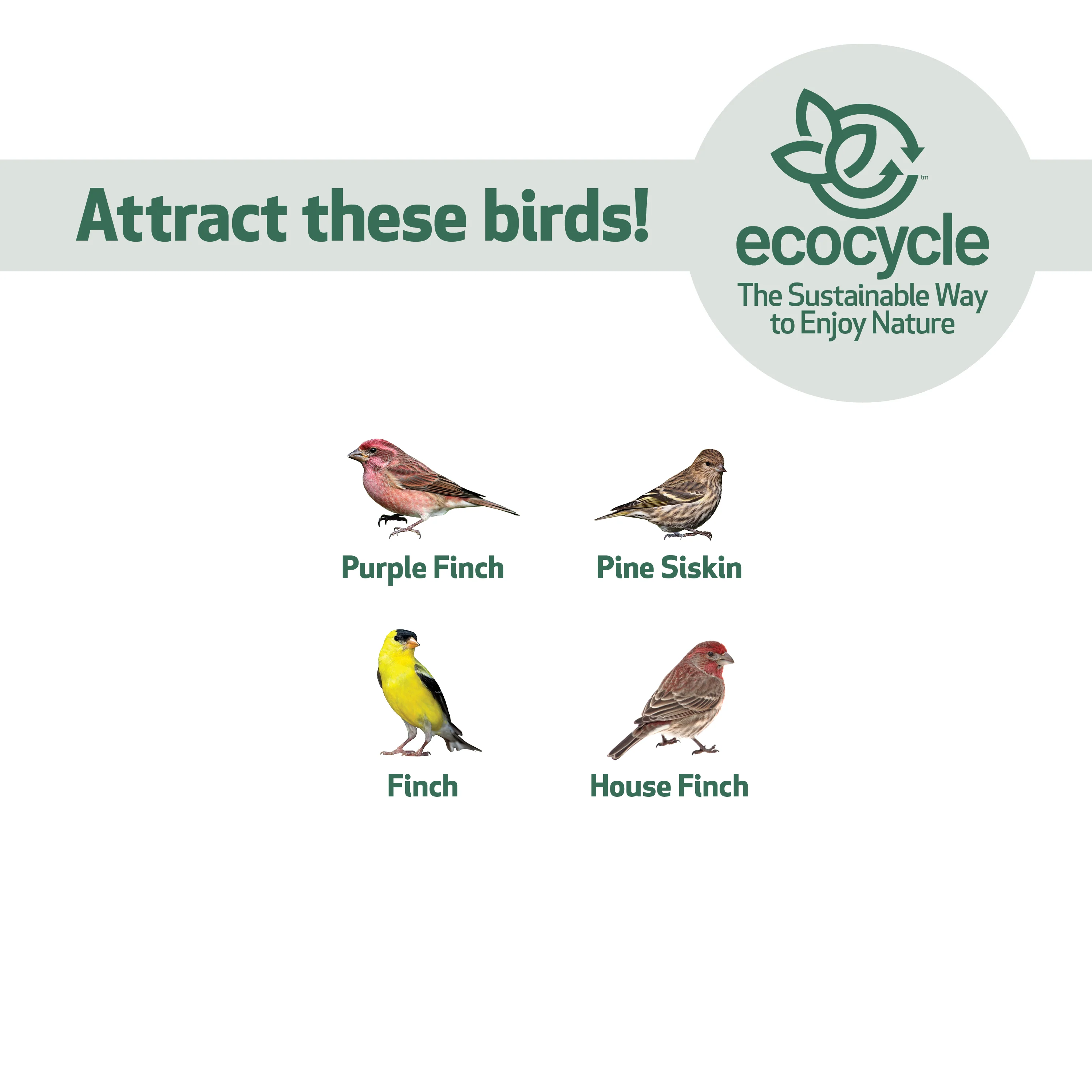 Finch Fare Recycled Plastic Thistle Mesh Bird Feeder - Image 5