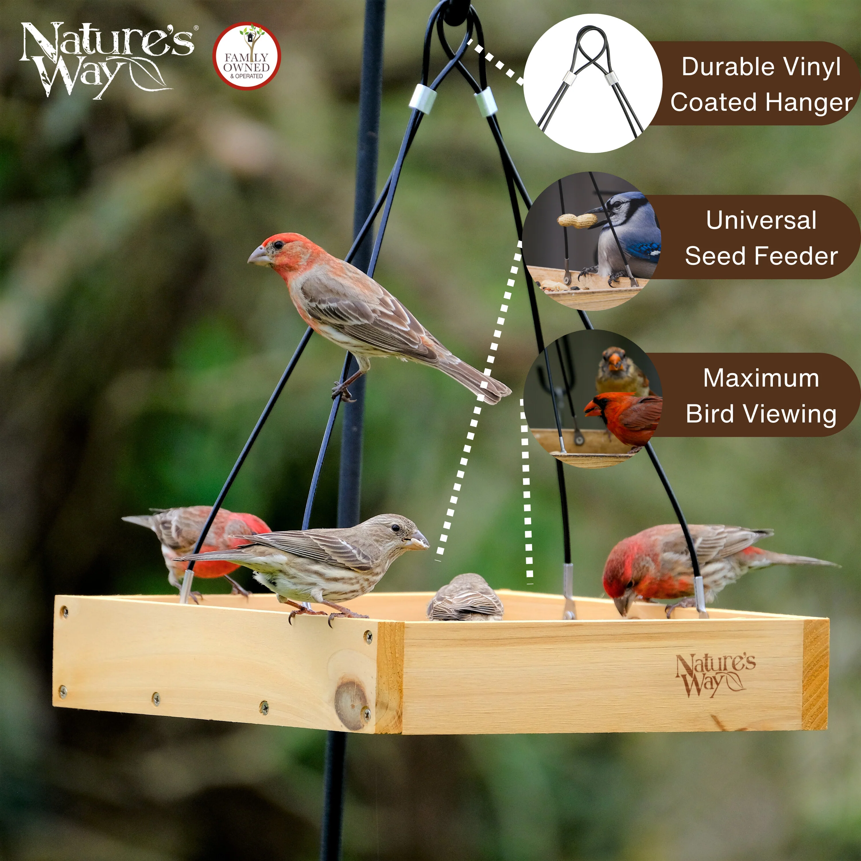 Cedar Hanging Platform Feeder - Image 3