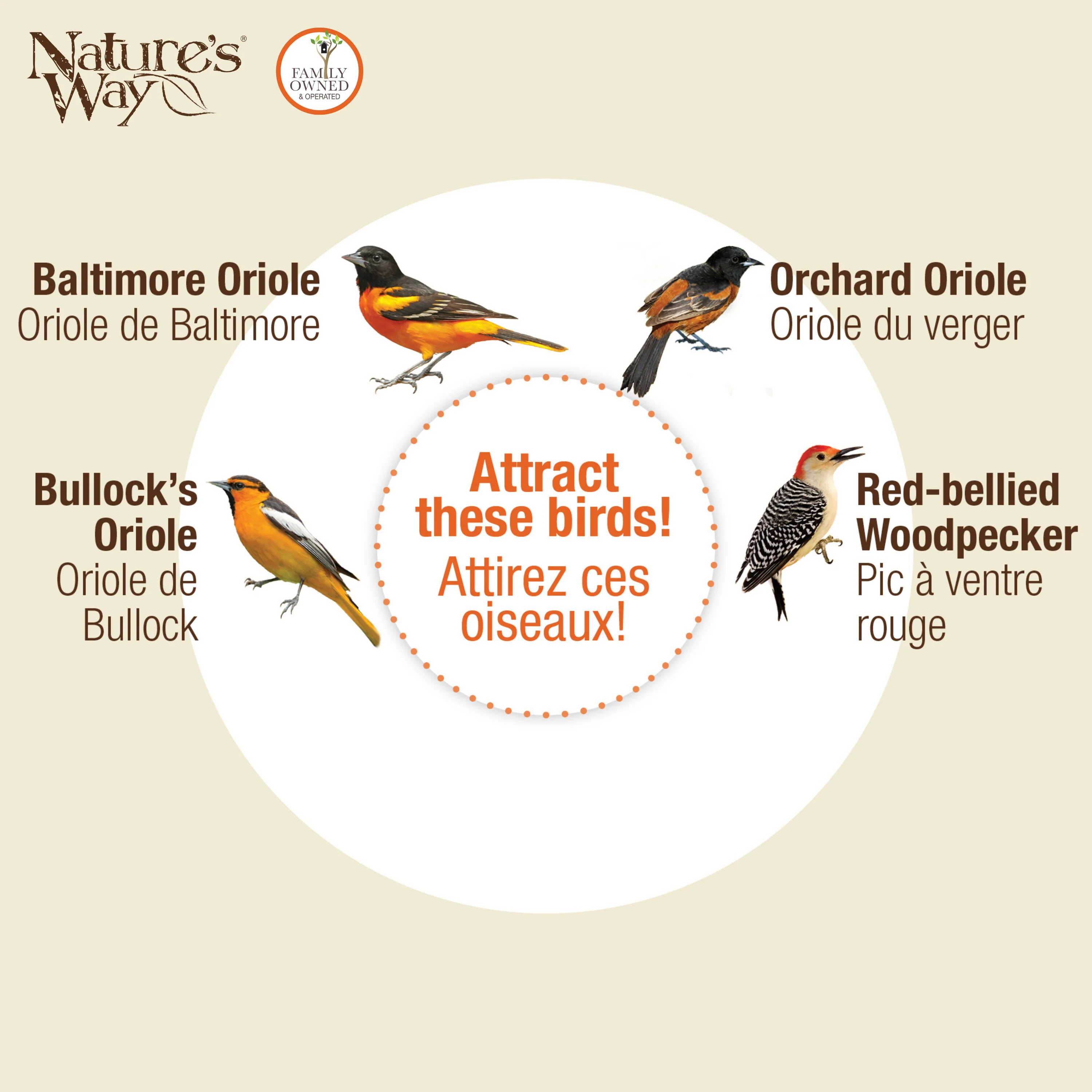 Orange Blossom Glass Oriole Feeder w/ Jelly Attachments - Image 5