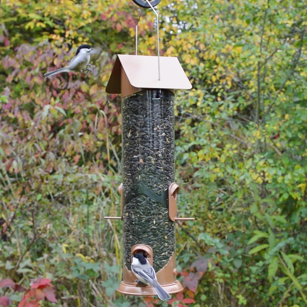 Wide Deluxe Easy Clean Tube Feeder - Image 9